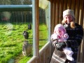 CJ & Violet at the chimp enclosure