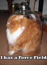 Force-field cat