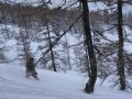 CJ blasting through the powder between the trees