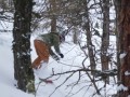 CJ tree riding at Les Grandes Montets