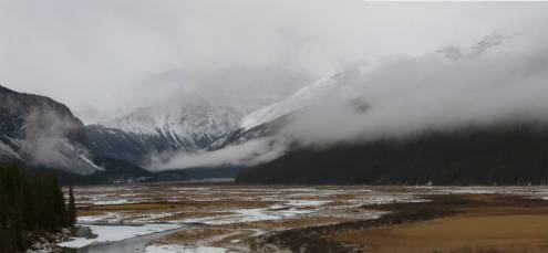 The beautiful plain at the bottom of Mt.Sunwapta